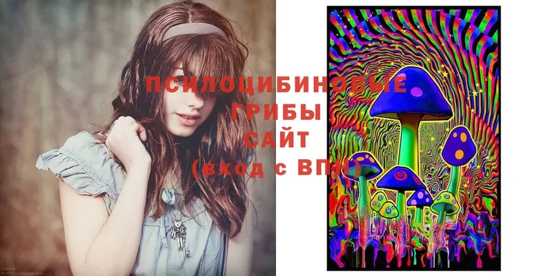 Галлюциногенные грибы Cubensis  Анжеро-Судженск 